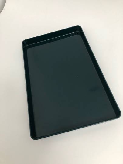 Sandwich Tray Green